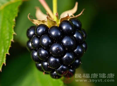 很多第三代水果比如黑莓、树莓，皮薄肉嫩，常温下存放2天就容易变质，新鲜果价格也偏高