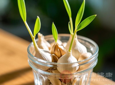 发芽会导致蒜瓣的部分营养成分发生改变