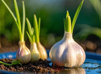 可搭配温热性食材一起烹饪，如用生姜、大蒜、花椒、料酒等调味，中和海鲜的寒性，减少对身体的影响