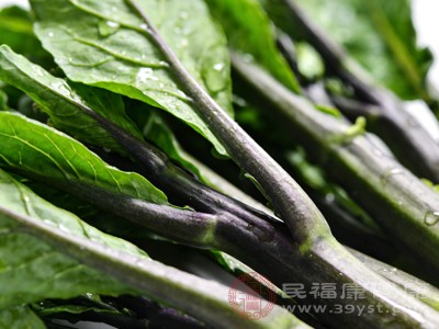 芥蓝是一种耐寒性很强的绿叶菜，越冷的天气，口感越脆嫩，味道也越清香