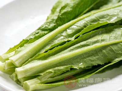 油麦菜的口感脆嫩爽口，几乎没有粗纤维，消化起来非常轻松，适合冬天肠胃功能较弱的人群食用