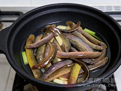 泥鳅汤中的维生素A和胡萝卜素能保护眼睛，预防夜盲症