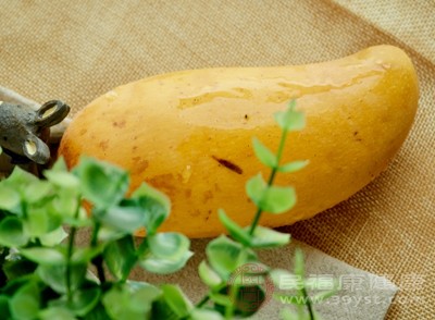 食用芒果后可能会出现腹胀