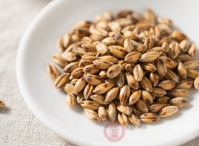 麦芽是临床上常用的回乳药物 麦芽是临床上常用的回乳药物