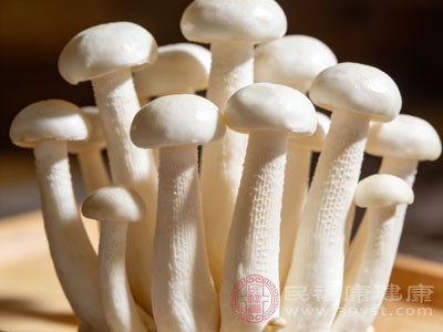 海鲜菇中的蛋白质