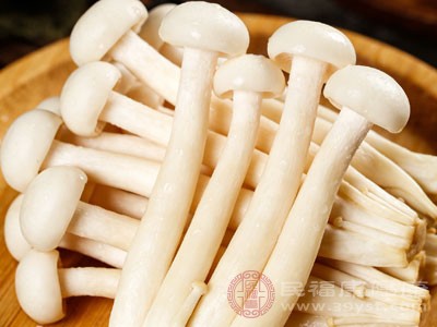 海鲜菇本身性质寒凉