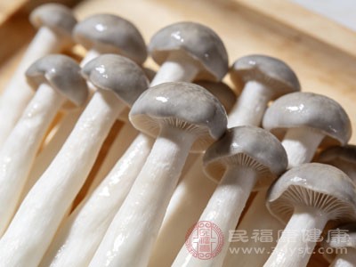 吃货必看 海鲜菇的冤家食物 你中招了没