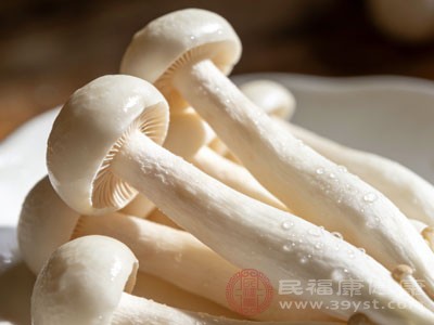 海鲜菇与寒性或功效相克