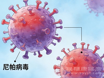 刷屏的尼帕病毒有多可怕？印度暴发疫情，会影响我国民众吗？看完这篇全明白