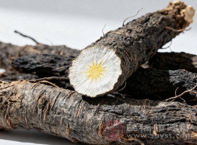 玄参麦冬养生误区 了解真实功效与禁忌 别吃错了