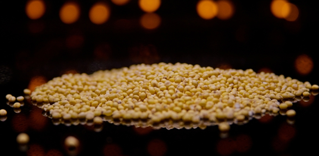 解锁季节交替养胃密码