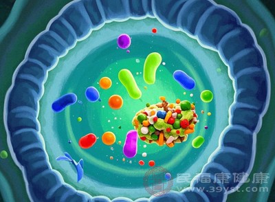 充足的营养吸收是宝宝生长发育的基础，益生菌通过改善肠道环境，为营养物质的高效吸收创造有利条件，间接支持宝宝的体格与智力发育