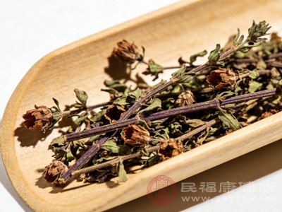 现代药理研究还发现半枝莲具有一些其他潜在作用