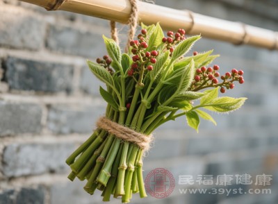 春日养生从吃芽开始？立春芽类食材挑搭攻略，解锁低成本养生术