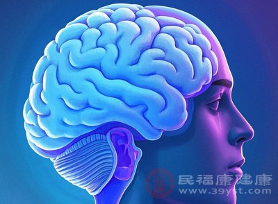 大脑是人体的“司令部”