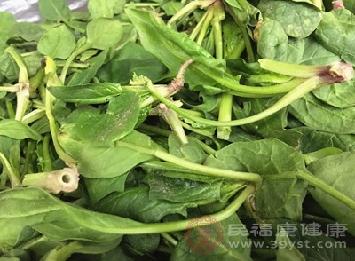 正在服用药物的人群，在食用菠菜前最好咨询医生的意见