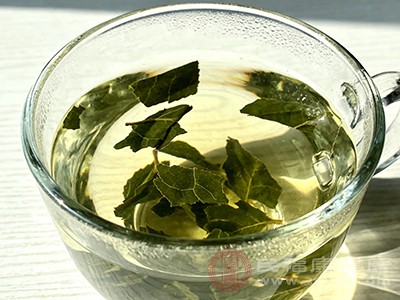 别错过这杯“养生水” 杜仲叶泡水的超实用功效大揭秘