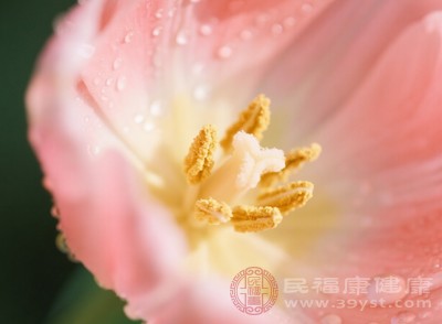 花粉过敏性鼻炎不用愁 这些方法让你“逆风翻盘”