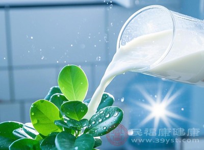 花胶炖牛奶投喂指南 一周吃几次才不踩雷