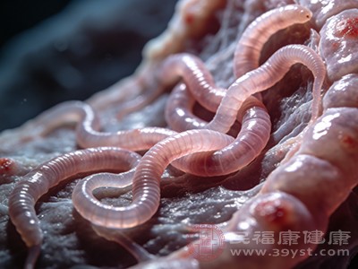 蛔虫卵进入人体后，会开启一场惊心动魄的“冒险旅程”