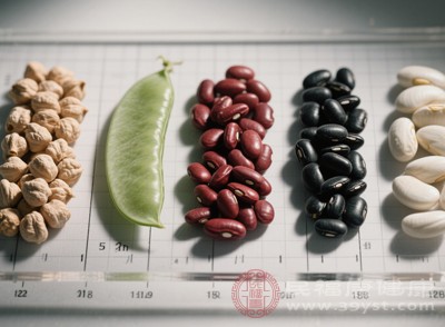 雌激素告急不用愁 这些食物助你“逆风翻盘”