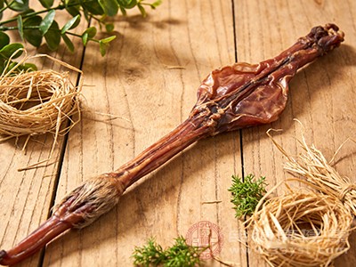 增强免疫力，抵御疾病侵袭