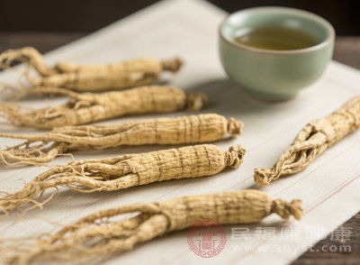 花旗参的药性相对较为寒凉，清热的效果更为突出