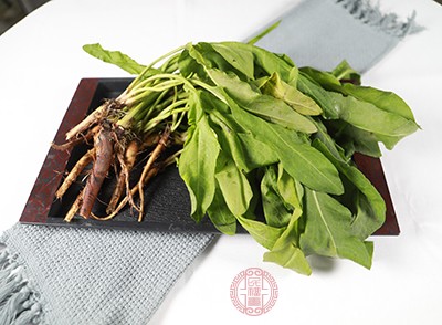 补血蔬菜大比拼 这些红色能量库你吃对了吗