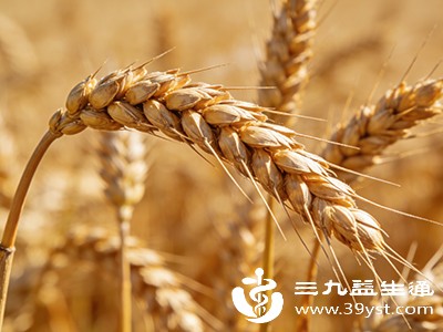 原来这些食物能回奶 哺乳期妈妈必知的饮食秘密