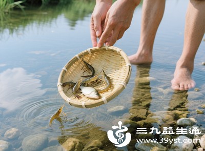 新鲜活鱼、活虾口感最佳