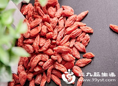 孕妇早期食用枸杞