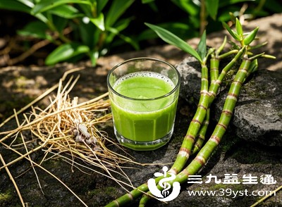 铁皮石斛榨汁饮用
