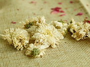 白菊花有哪些功效