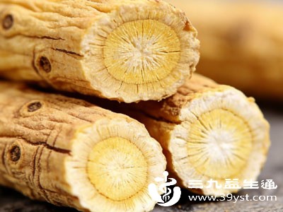 北芪作为黄芪的优质品种