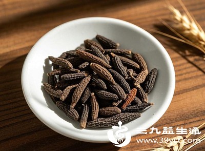 香附有多香 解锁这味中药的神奇功效与作用