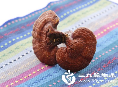 养生人必看 灵芝泡酒的神奇功效 看完直呼后悔知道晚