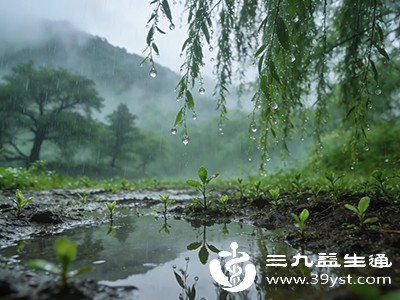 春雨润万物养生正当时 雨水节气专属养生指南 新手也能零出错