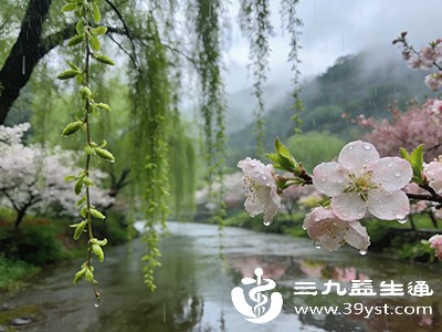 救命 雨水天总不舒服 护好这3处祛湿防感 简单几步安稳过一春