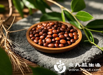 炒酸枣仁的养生价值 从改善睡眠到调节情绪 禁忌也不能忽视