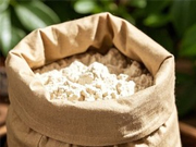 葛根粉不是“万能宝”