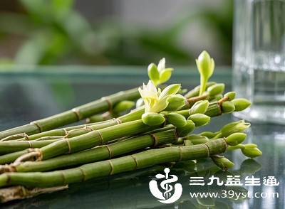 鲜石斛制作果冻