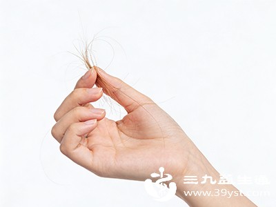 头发一般比较干枯、无光泽