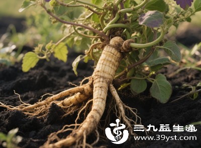 党参蒸蛋是一道简单又营养的家常小吃,尤其适合儿童和老人 党参蒸蛋是一道简单又营养的家常小吃,尤其适合儿童和老人