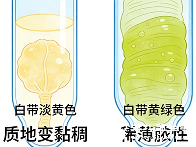 而感染后分泌物可能增多，颜色变为淡黄色、黄绿色，质地变黏稠或呈稀薄脓性，部分患者会出现明显的腥臭味