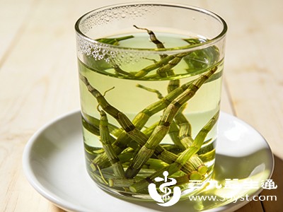 脾胃虚寒者不宜过多食用石斛，因为石斛性偏凉，可能会加重虚寒症状