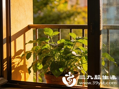 女人手脚出汗是什么病 从生理到病理的全面解析