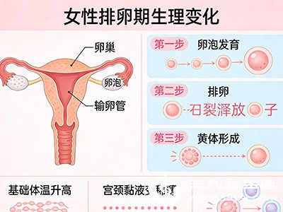 卵泡破裂有啥症状 下腹痛、分泌物变样可能是信号女性要知道