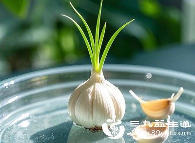 大蒜发芽=有毒大错特错 这才是正确答案 避免浪费还能吃对 普通人必看健康科普