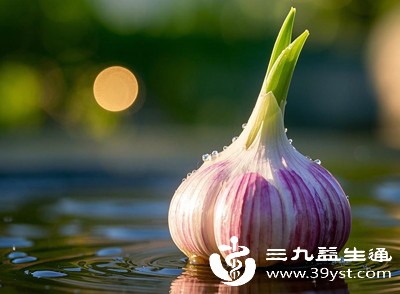 食用这种发霉发芽的大蒜，很容易引起肠胃不适，危害身体健康