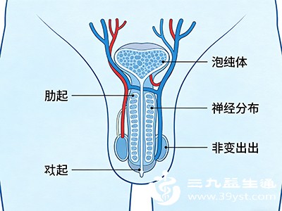 性刺激敏感度下降 性刺激敏感度下降